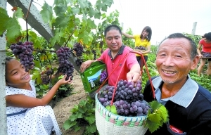 力爭“城鄉(xiāng)收入差距持續(xù)縮小” 富裕農(nóng)民出實招