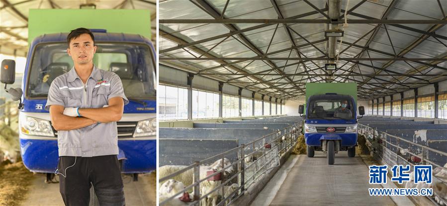 （脫貧攻堅·圖片故事）（13）脫貧靠雙手——新疆和田地區未摘帽縣就業見聞