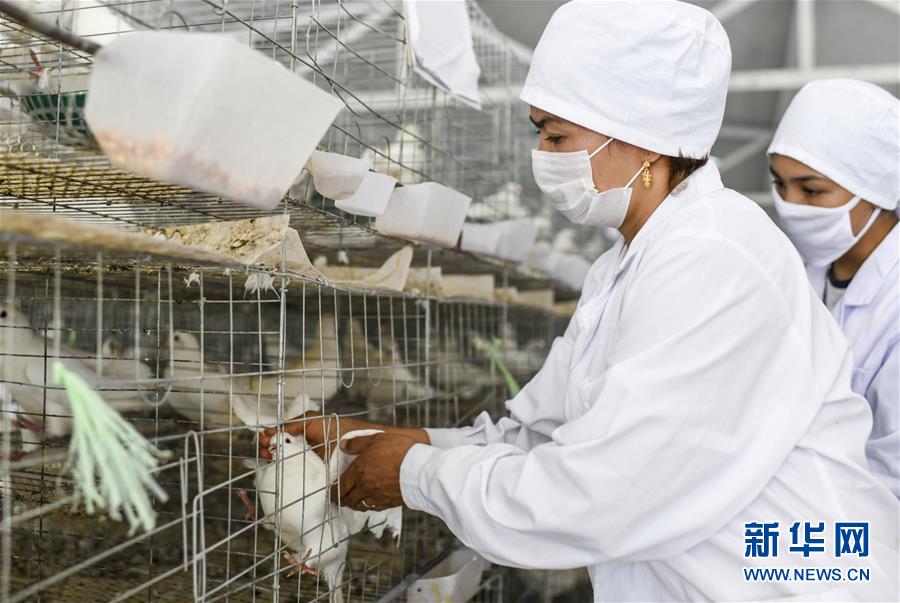 (決戰決勝扶貧攻堅·圖文互動)(5)凝心聚力奔小康——新疆南疆四地州脫貧攻堅成就綜述