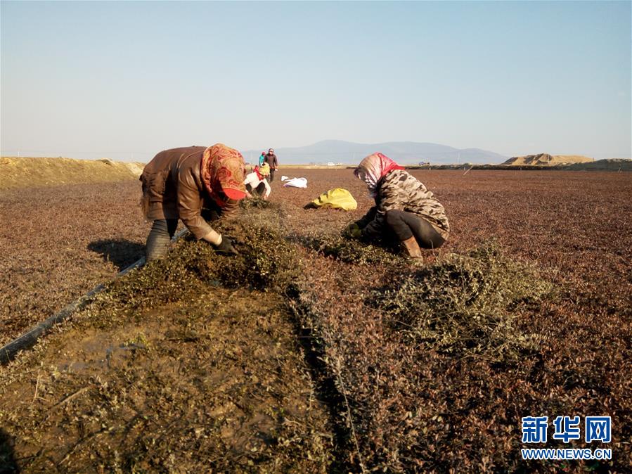 (圖文互動)(8)從“輕工漁網重工馬掌”到“圓夢小康”——“中國東極”脫貧攻堅剪影