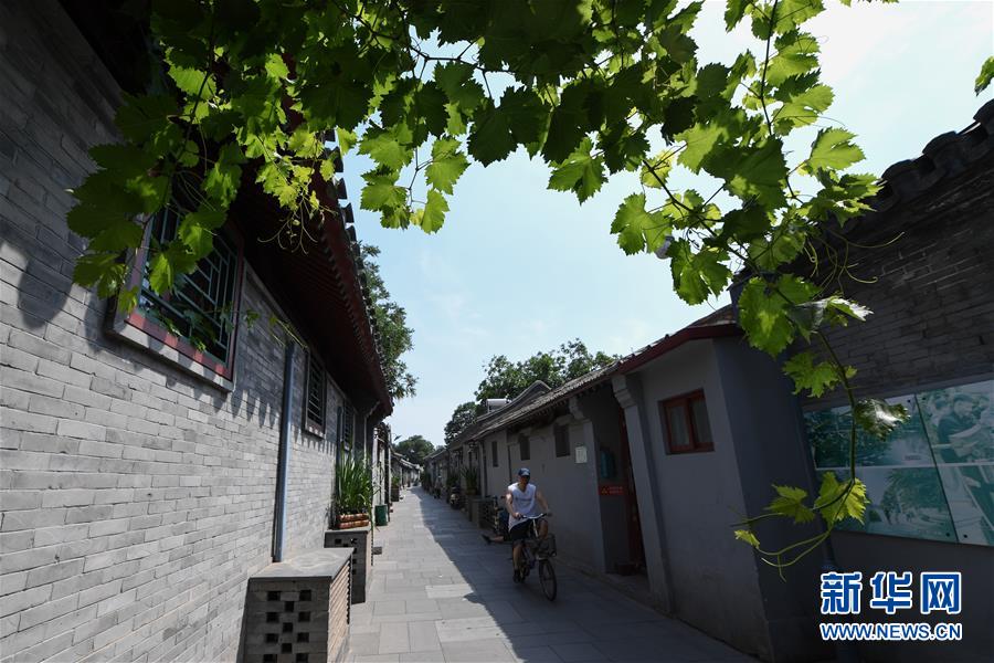 （走向我們的小康生活·圖文互動）（1）小橋、流水、書香、人家——老北京胡同里的恬靜棲居