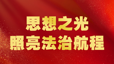 習近平法治思想引領新時代法治中國建設述評