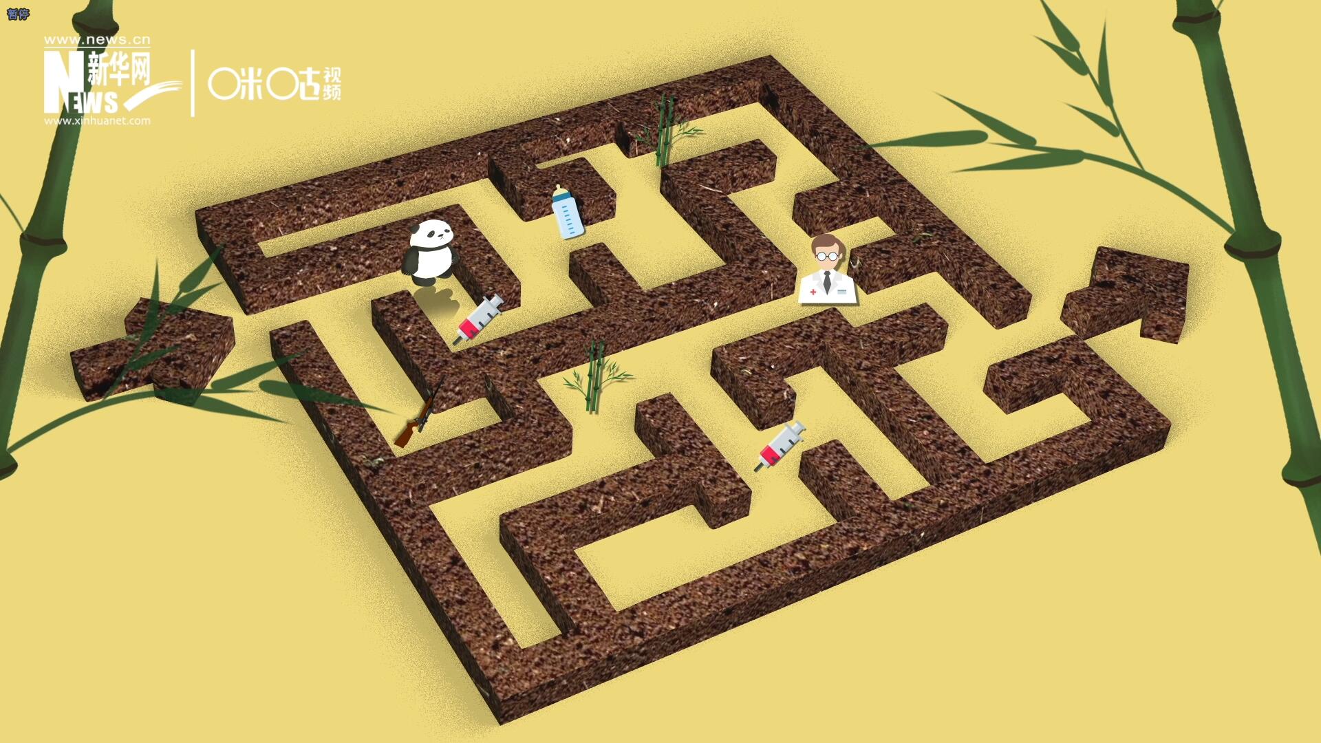 2016年，國際自然保護(hù)聯(lián)盟將大熊貓的物種瀕危等級，從“瀕危”下降到了“易危”。