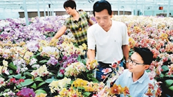 臺商眼中的改革開放：風景這邊獨好 要去，要去，要去！