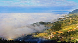 臺胞臺商熱議陜西惠臺“60條”：期盼落實、共享機遇