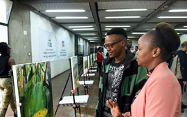 中國文化交流團(tuán)在肯尼亞舉辦畫展和時裝秀